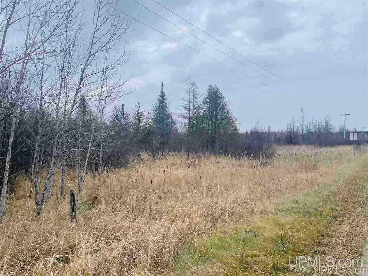 Tbd St Nicholas Road Rock, MI 49880 - Photo 10 of 22