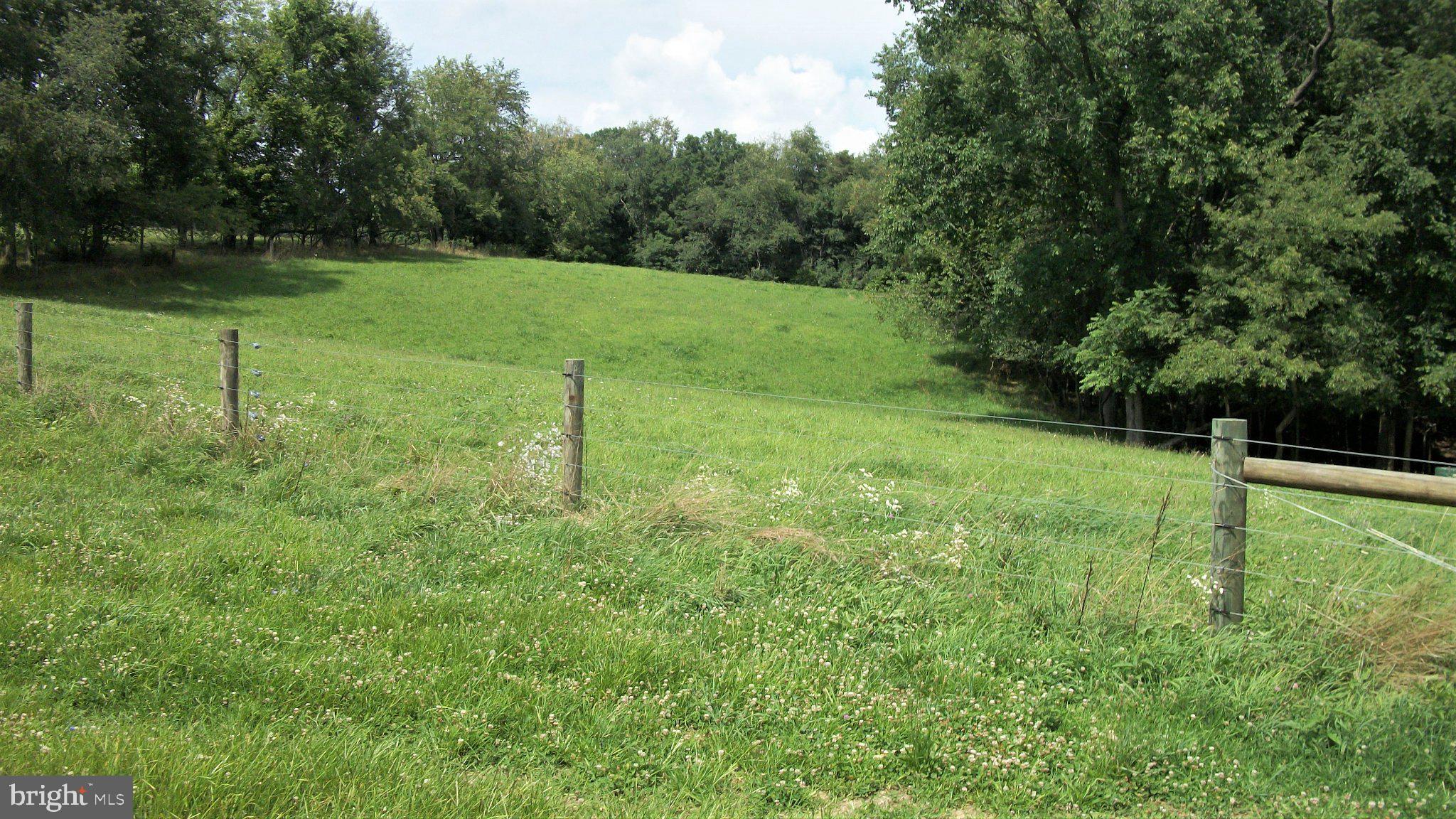 285 Hominy Hill Road Osterburg, PA 16667 - Photo 49 of 62 Gallery Image 49