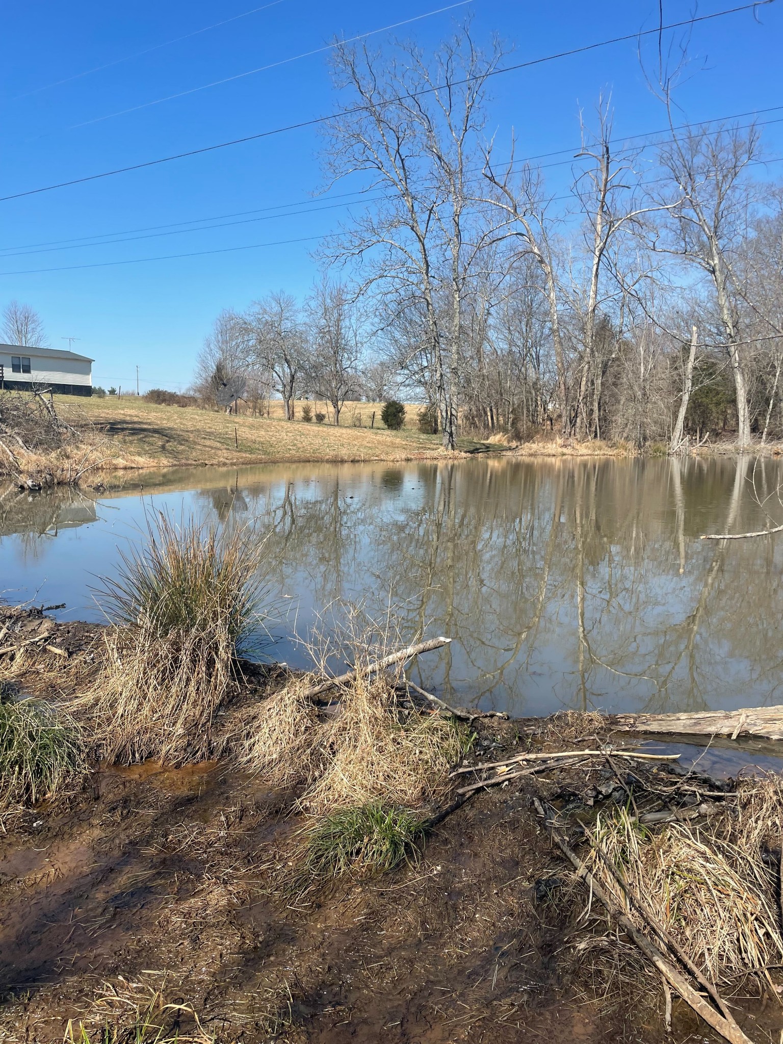5447 Campbell Road Cross Plains, TN 37049 - Photo 3 of 6 Gallery Image 3