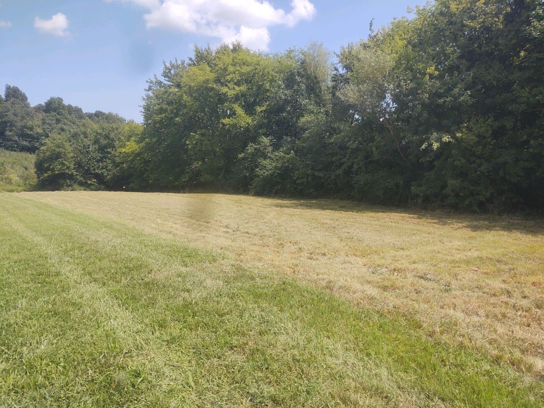 5447 Campbell Road Cross Plains, TN 37049 - Photo 4 of 6 Gallery Image 4