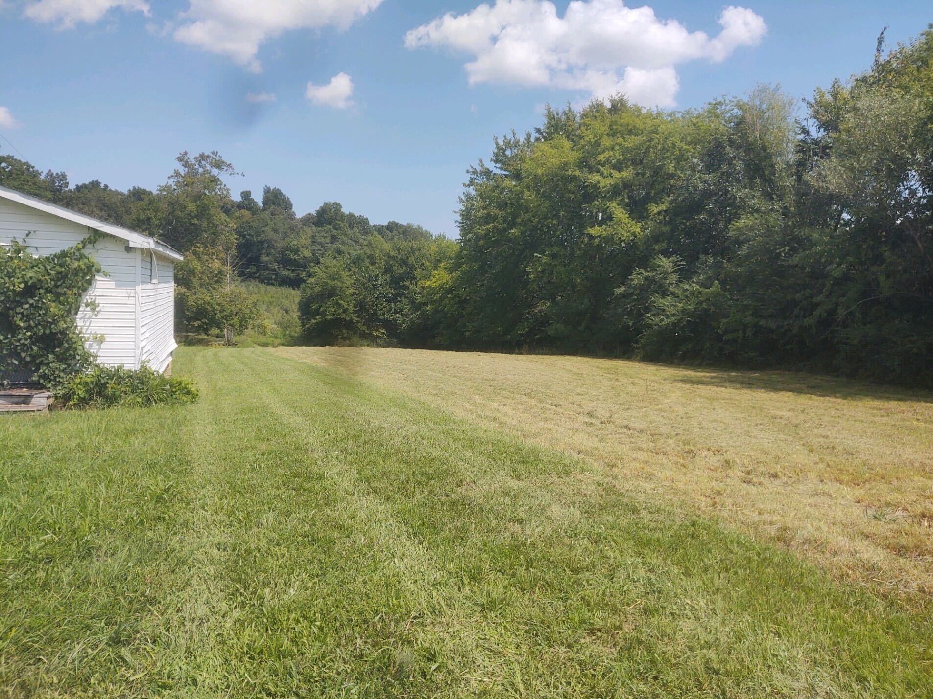 5447 Campbell Road Cross Plains, TN 37049 - Photo 5 of 6 Gallery Image 5