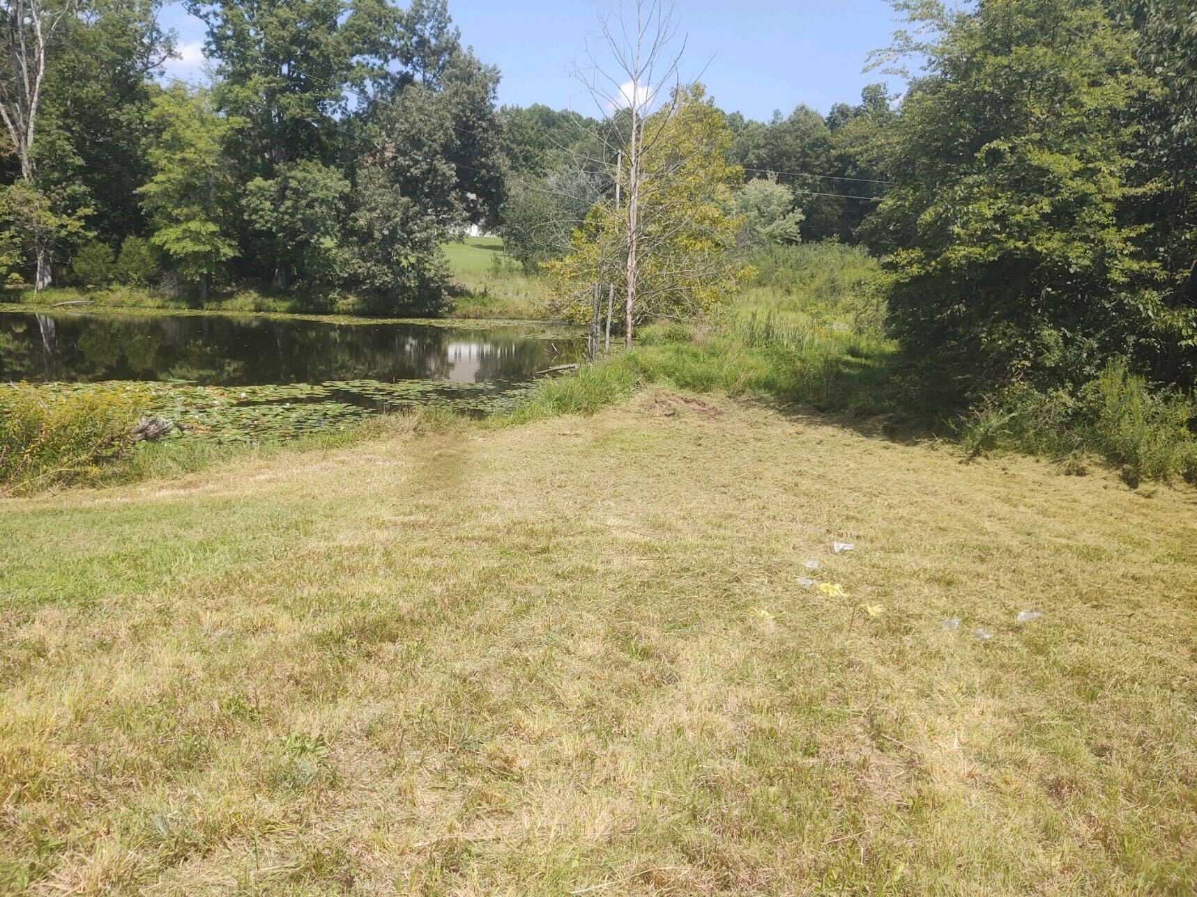 5447 Campbell Road Cross Plains, TN 37049 - Photo 6 of 6 Gallery Image 6
