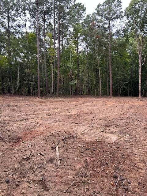4550 Seymour Road Dalzell, SC 29040 - Photo 1 of 3 20250611002359190677000000-o