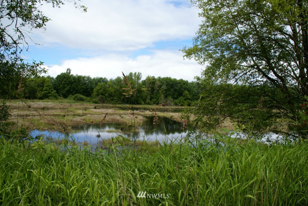 230 Minkler Road Montesano, WA 98563 - Photo 12 of 15