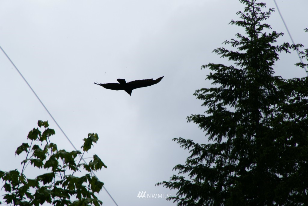 230 Minkler Road Montesano, WA 98563 - Photo 13 of 15