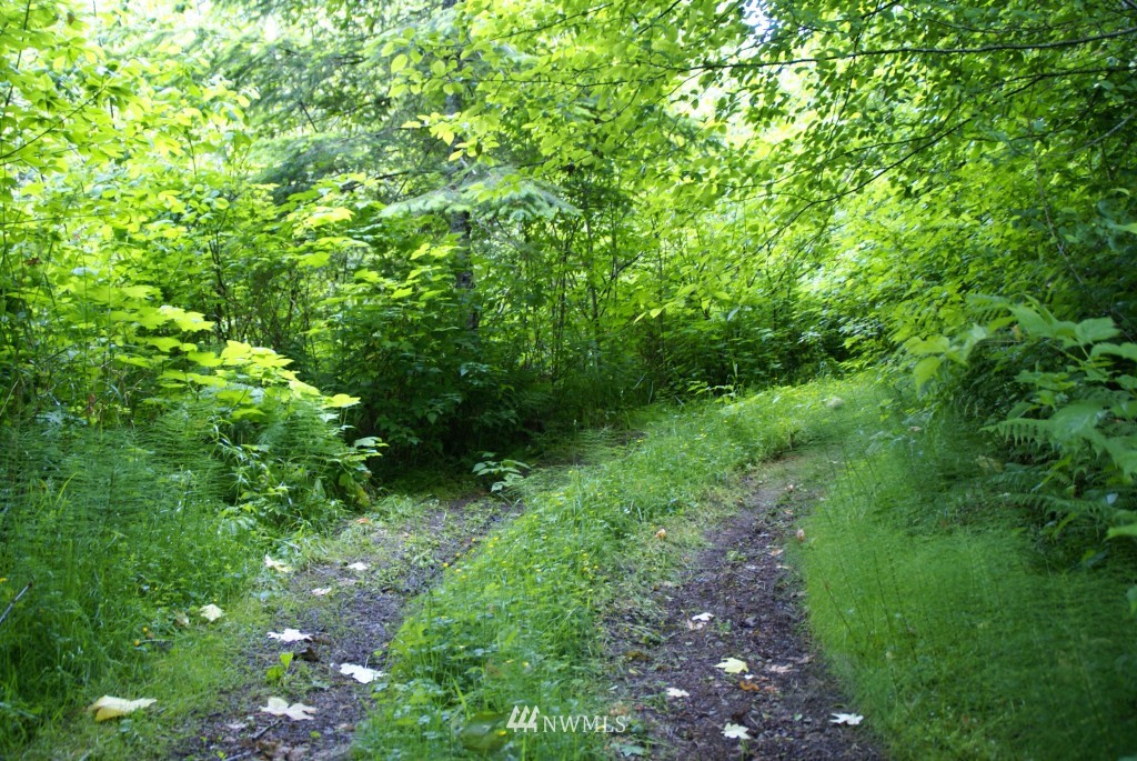 230 Minkler Road Montesano, WA 98563 - Photo 14 of 15