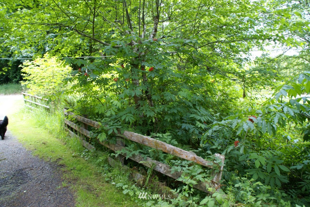 230 Minkler Road Montesano, WA 98563 - Photo 15 of 15