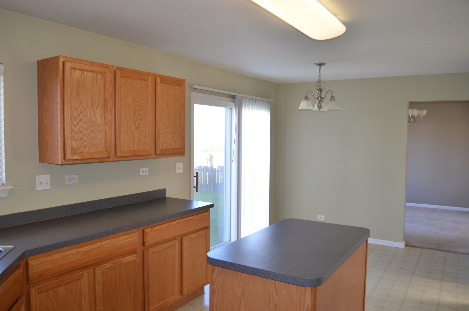 4119 Osbron Street Plano, IL 60545 - Photo 3 of 7