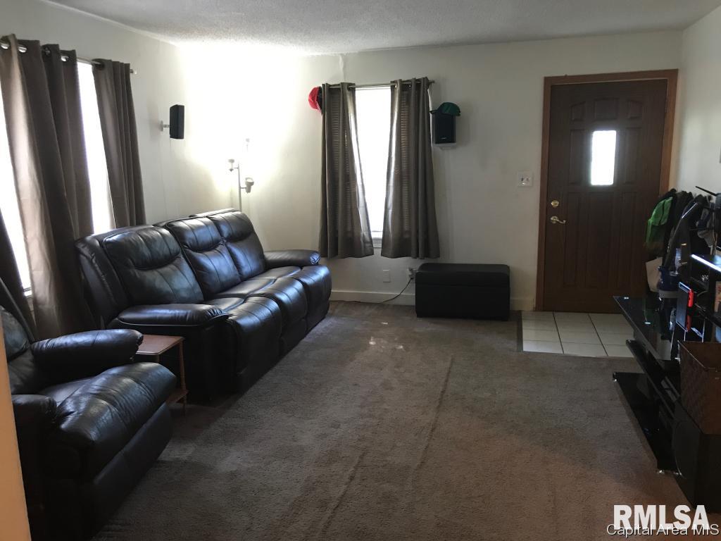 2244 South 14th Street Springfield, IL 62703 - Photo 5 of 19