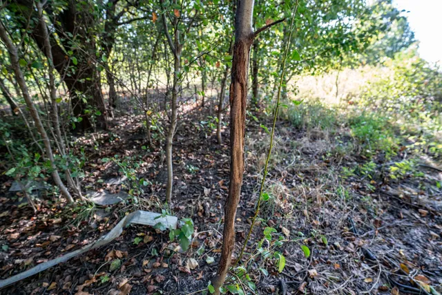 $158,878 | 2529 280th Street, Lincolnville, KS 66858