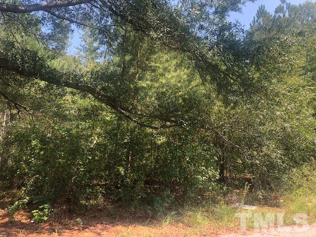 Pendergraft Road Bunnlevel, NC 28323 - Photo 2 of 2