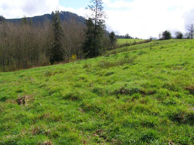 41 Skyview Road Tillamook, OR 97141 - Photo 13 of 33 P3180274