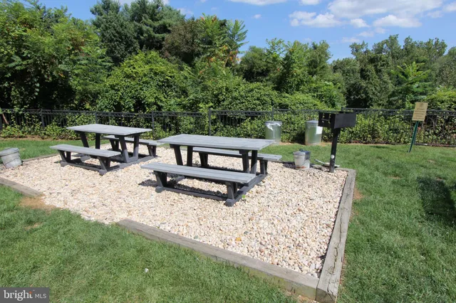 a view of a park with large trees
