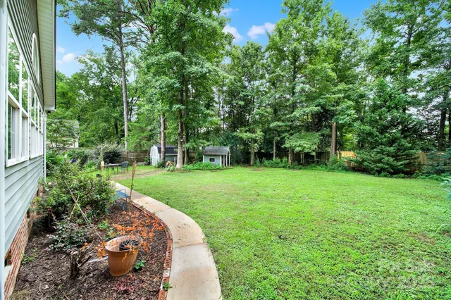 a view of a garden with a trees