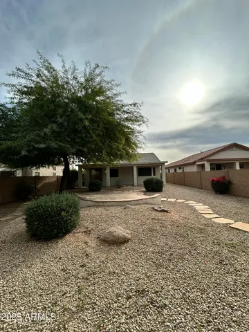a view of a yard with plants and trees
