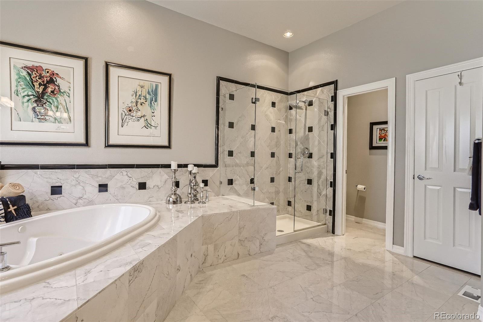 10189 Longview Drive Lone Tree, CO 80124 - Photo 22 of 40 a bathroom with bathtub and a shower
