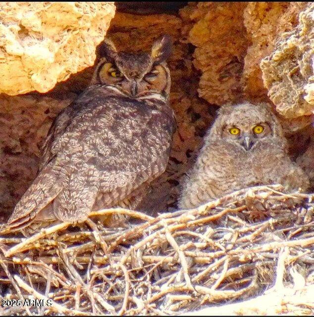 4500 North Culpepper Ranch Road Rimrock, AZ 86335 - Photo 10 of 14 The Watchers