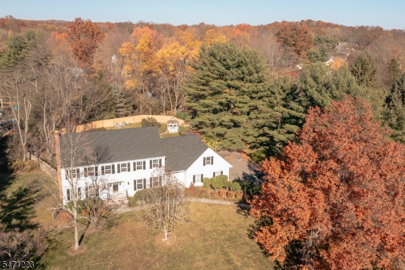 64 Old Coach Road Bernards, NJ 07920 - Photo 32 of 32 a view of a forest with a mountain