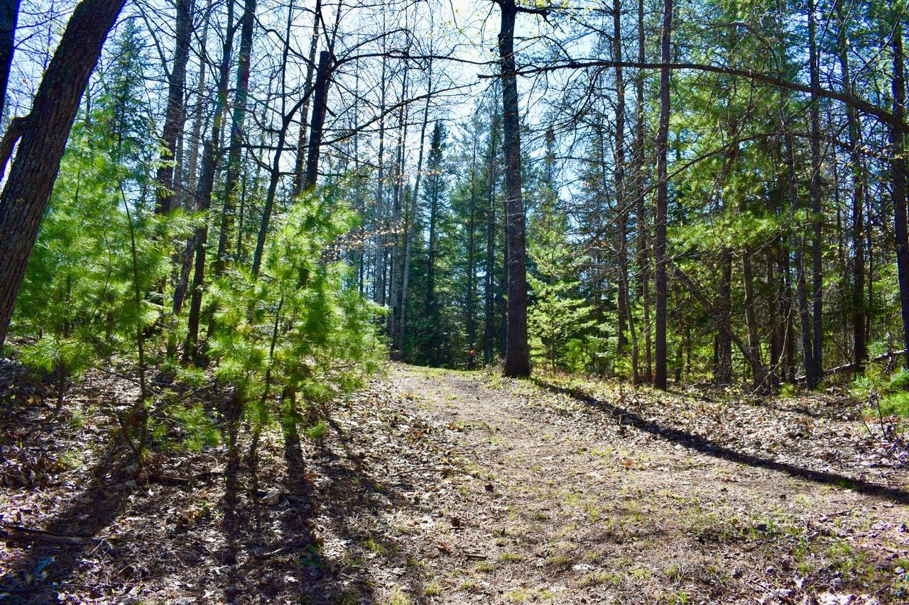 5169 Pine Creek Road Rhinelander, WI 54501 - Photo 33 of 37 Gallery Image 33