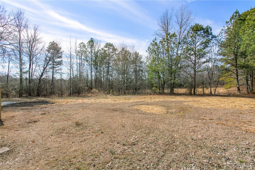 8501 Barnetts Road Charles City, VA 23030 - Photo 24 of 33 View of local wilderness