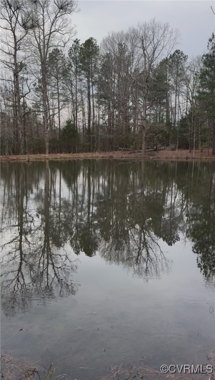 8501 Barnetts Road Charles City, VA 23030 - Photo 28 of 33 Property view of water