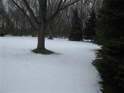 5438 Farrand Road Clio, MI 48420 - Photo 4 of 13 20196451-3.JPG