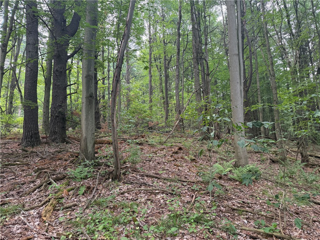 0 Ringwood Road Freeville, NY 13068 - Photo 9 of 35 Gallery Image 9