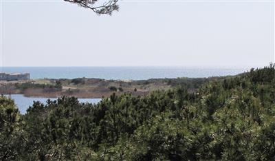 16 Cormorant Road Truro, MA 02666 - Photo 5 of 21 an aerial view of valley and trees