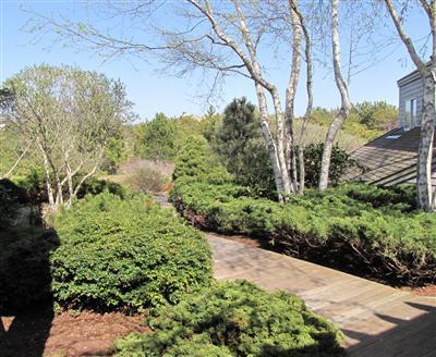 16 Cormorant Road Truro, MA 02666 - Photo 8 of 21 a view of a garden with plants and large trees