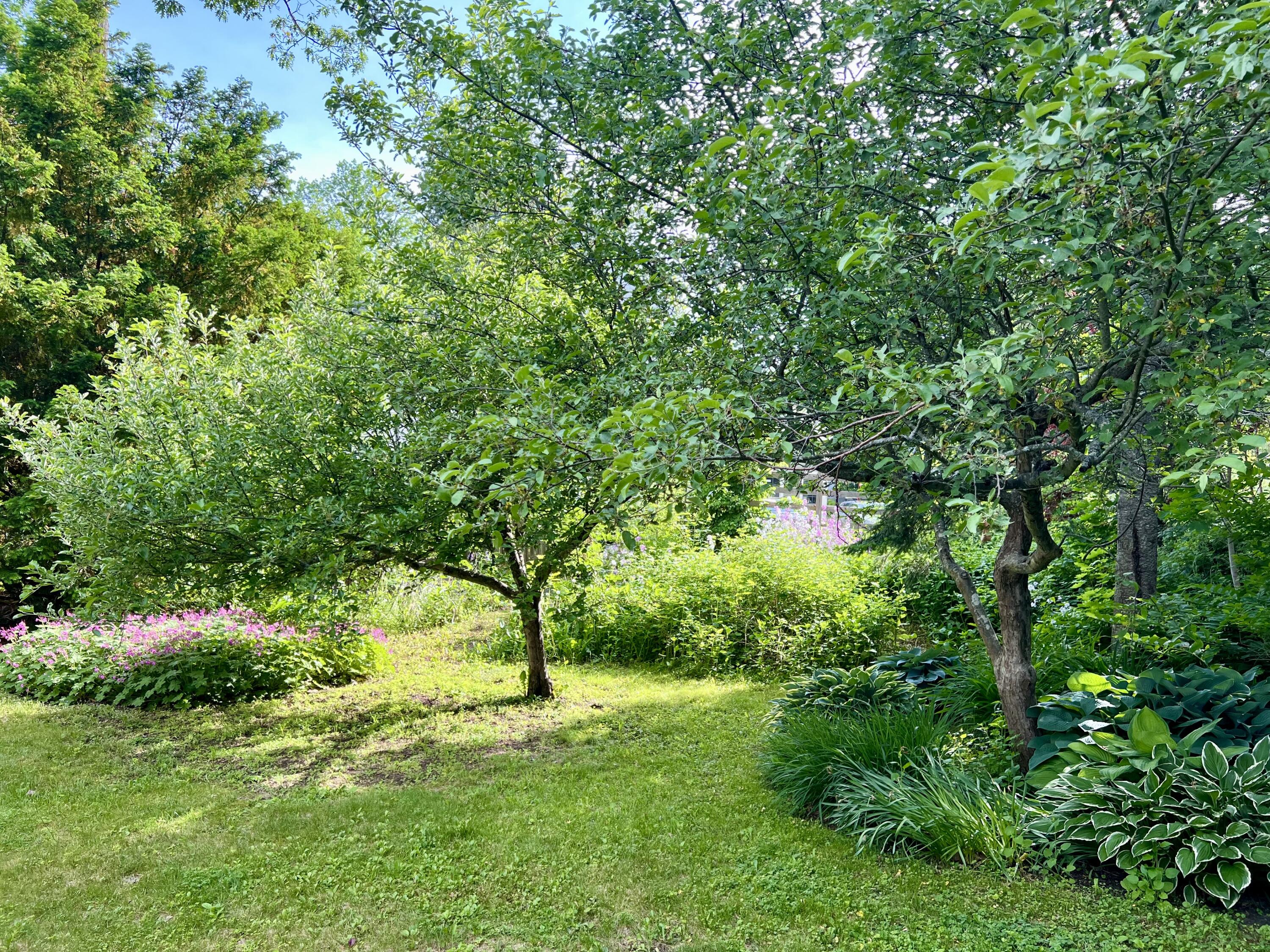 59 Cedar Street Belfast, ME 04915 - Photo 76 of 92 IMG_9280