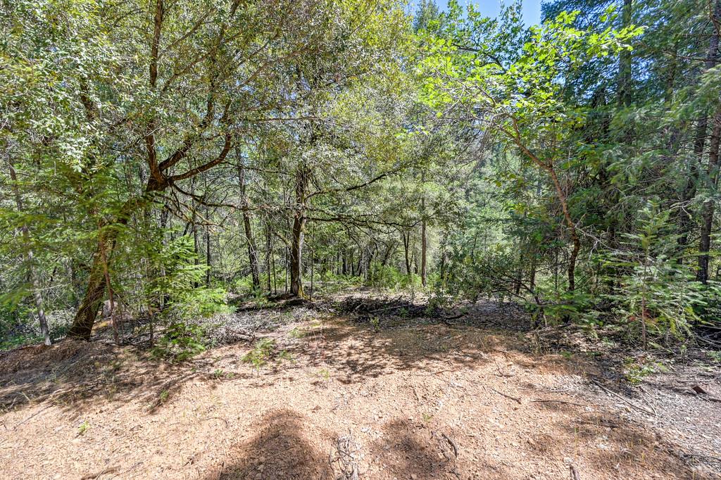 23505 Grand View Way Colfax, CA 95713 - Photo 29 of 32