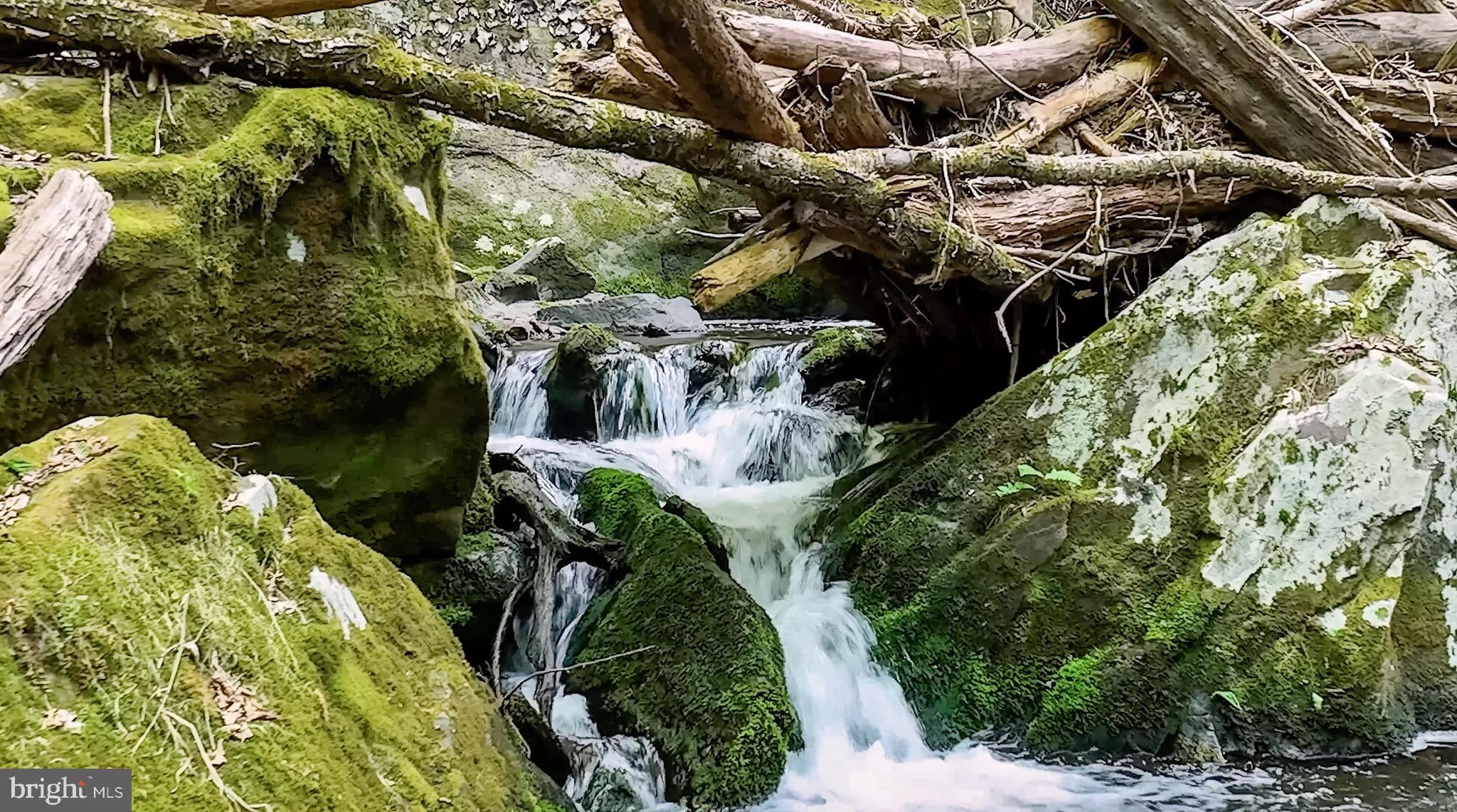 207 Saw Mill Road Weatherly, PA 18255 - Photo 40 of 55