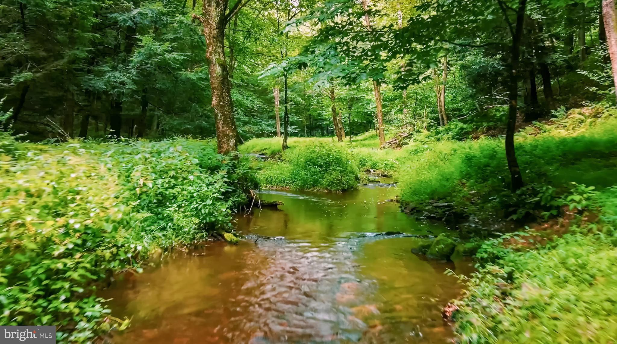 207 Saw Mill Road Weatherly, PA 18255 - Photo 7 of 55