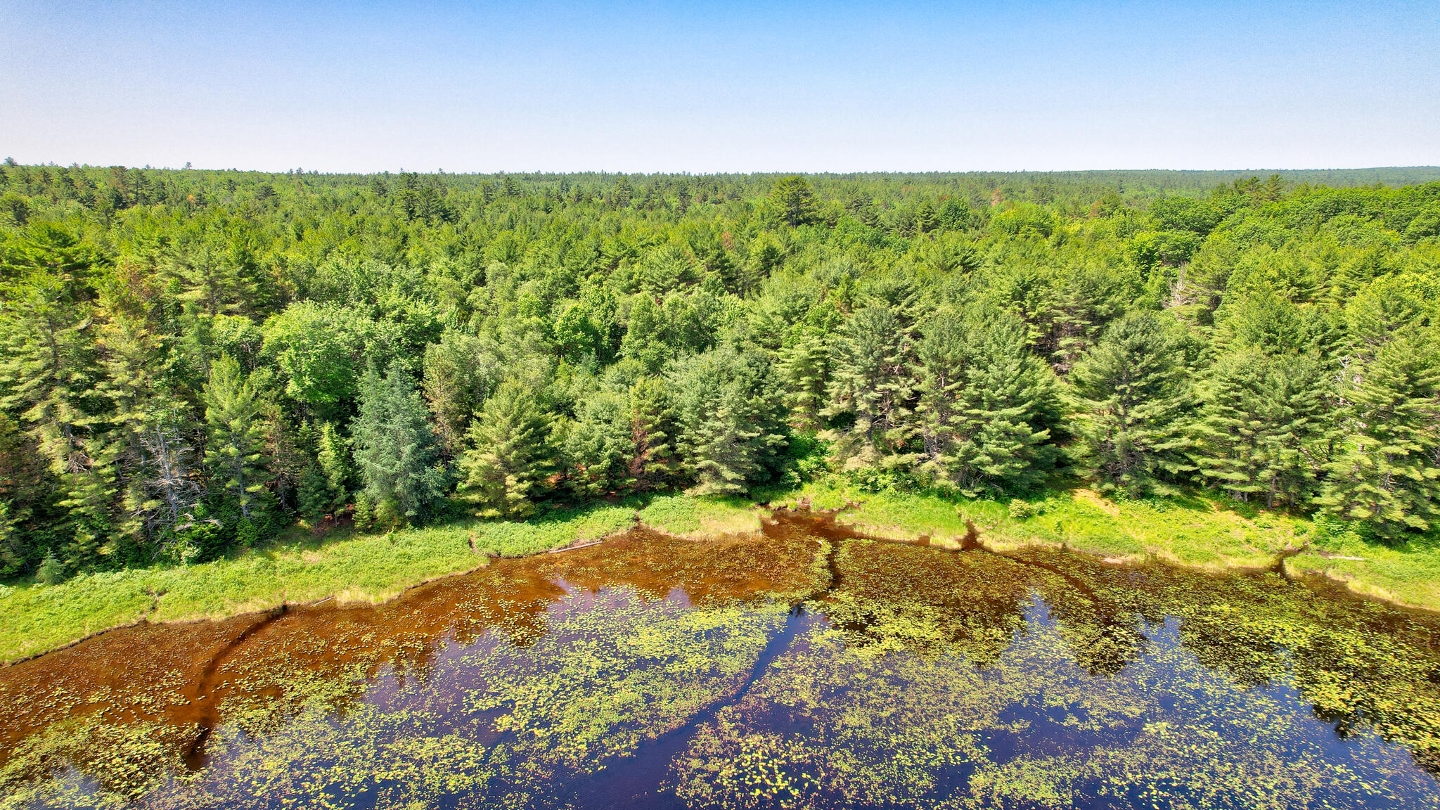 M19-l8 Church Farm Road Beddington, ME 04622 - Photo 14 of 22 dji_fly_20250624_104130_558_175077751817