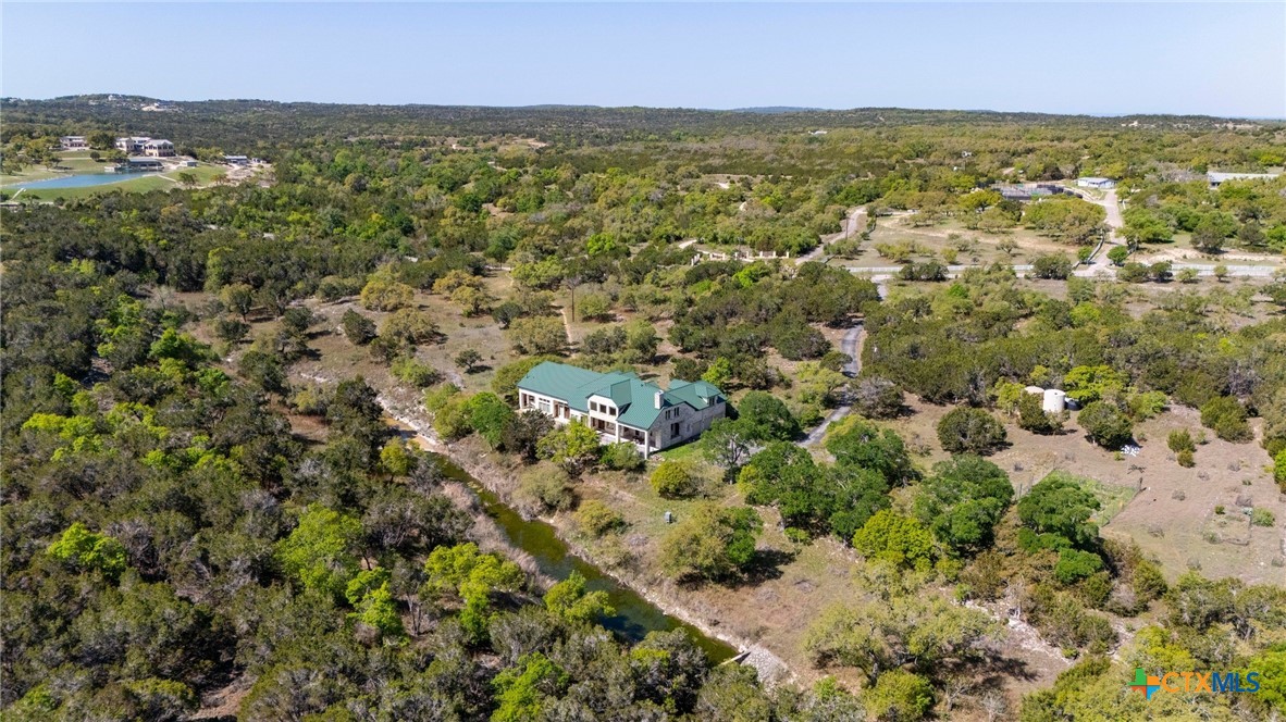4001 Bell Springs Road Dripping Springs, TX 78620 - Photo 3 of 47 Aerial view