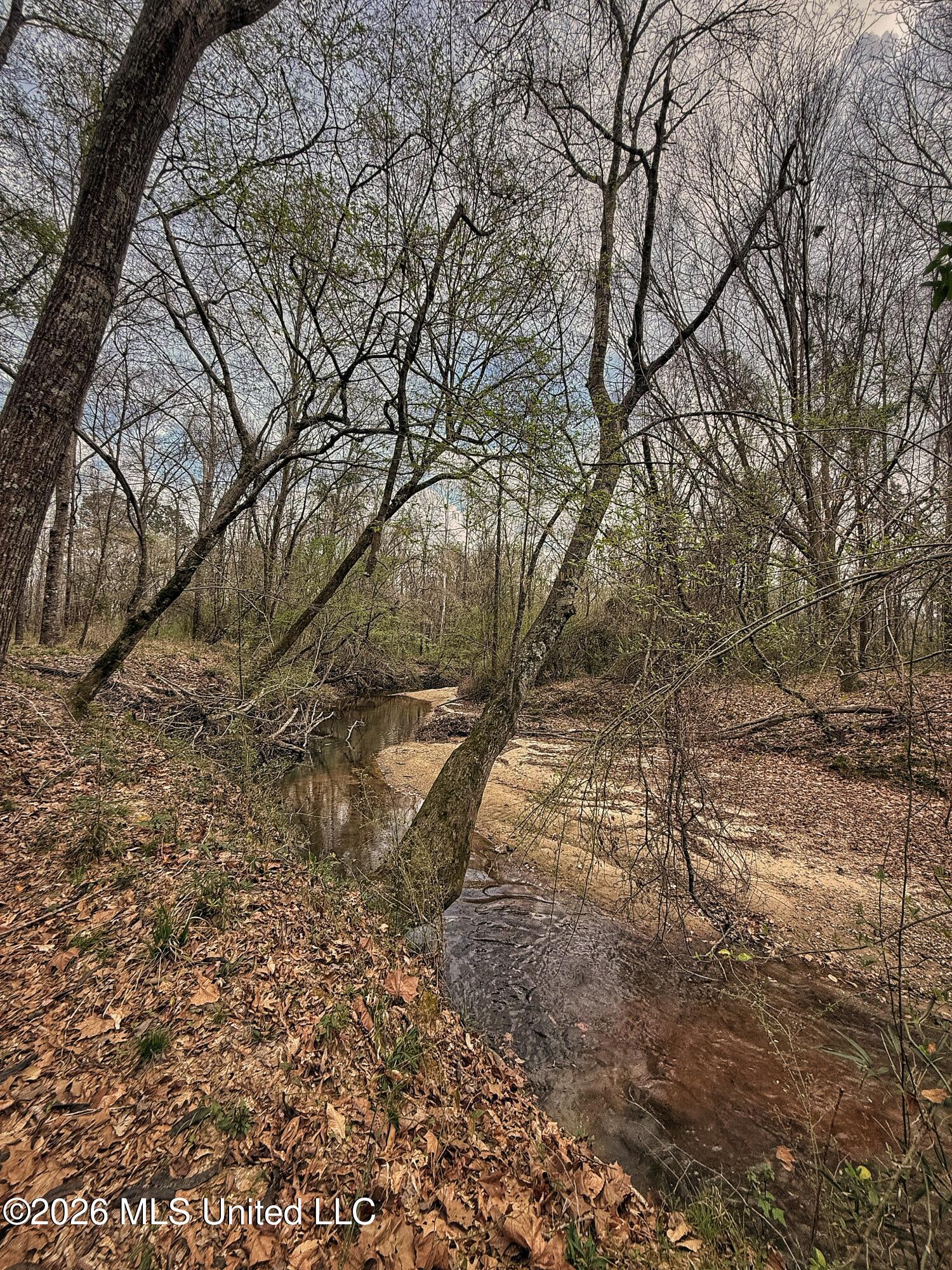 4068 6 Mile Road Crystal Springs, MS 39059 - Photo 13 of 36 FullSizeRender-12
