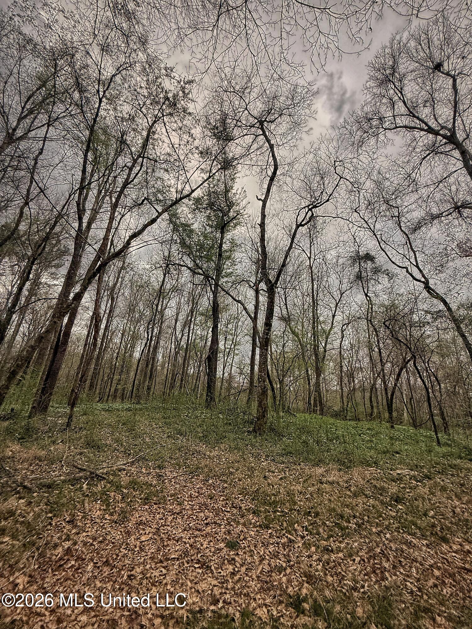 4068 6 Mile Road Crystal Springs, MS 39059 - Photo 19 of 36 FullSizeRender-20