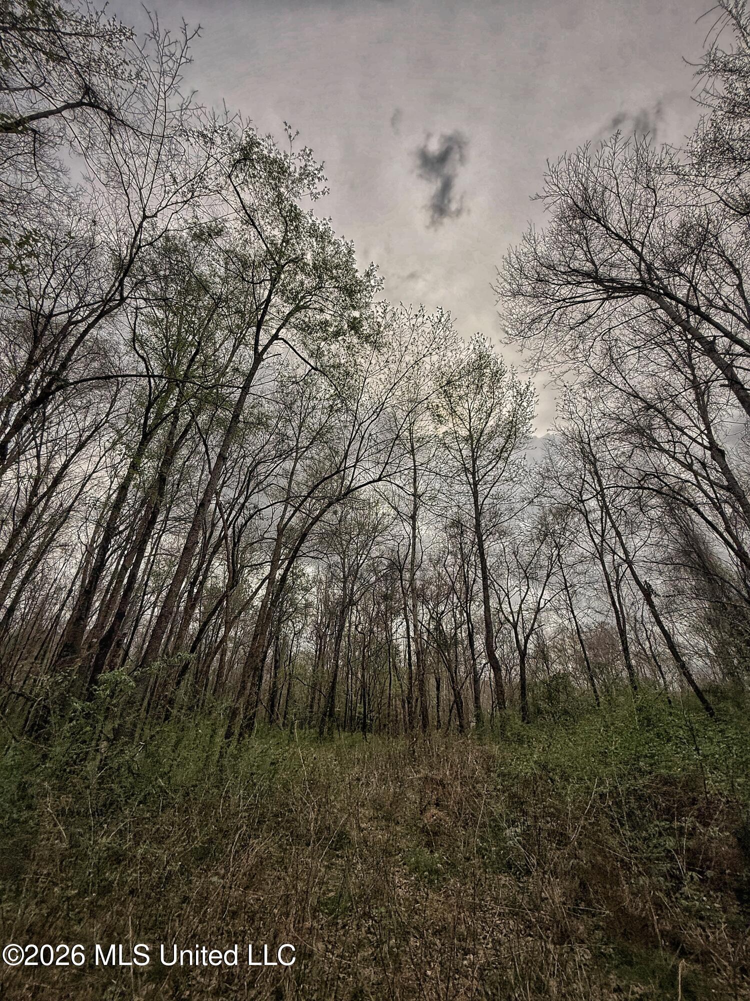 4068 6 Mile Road Crystal Springs, MS 39059 - Photo 20 of 36 FullSizeRender-21