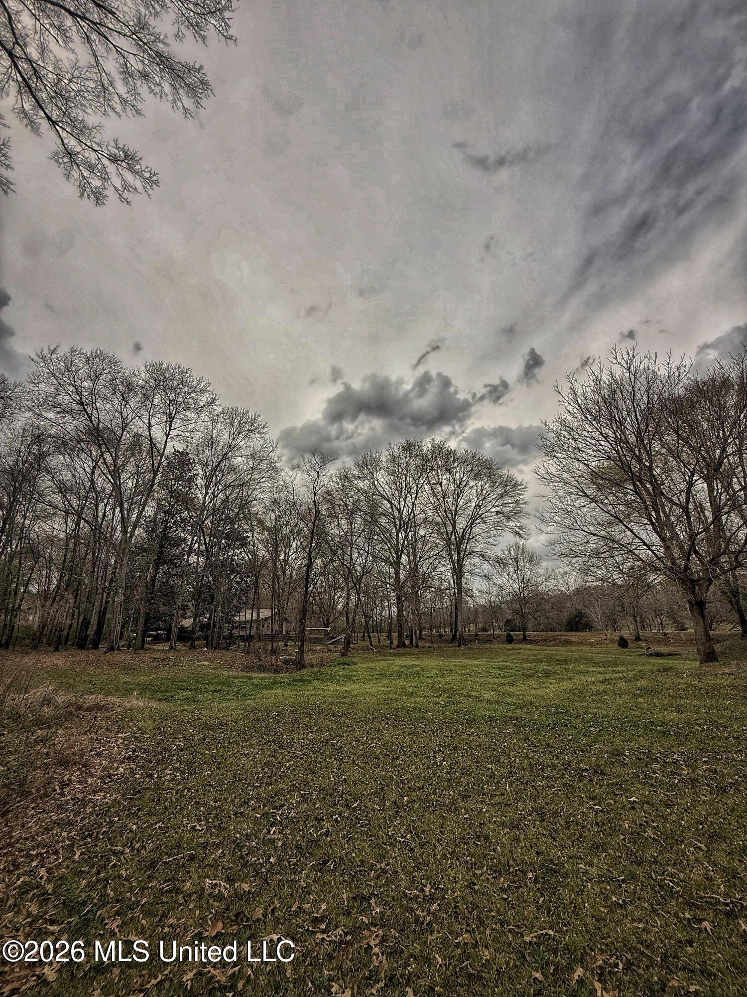 4068 6 Mile Road Crystal Springs, MS 39059 - Photo 21 of 36 FullSizeRender-22
