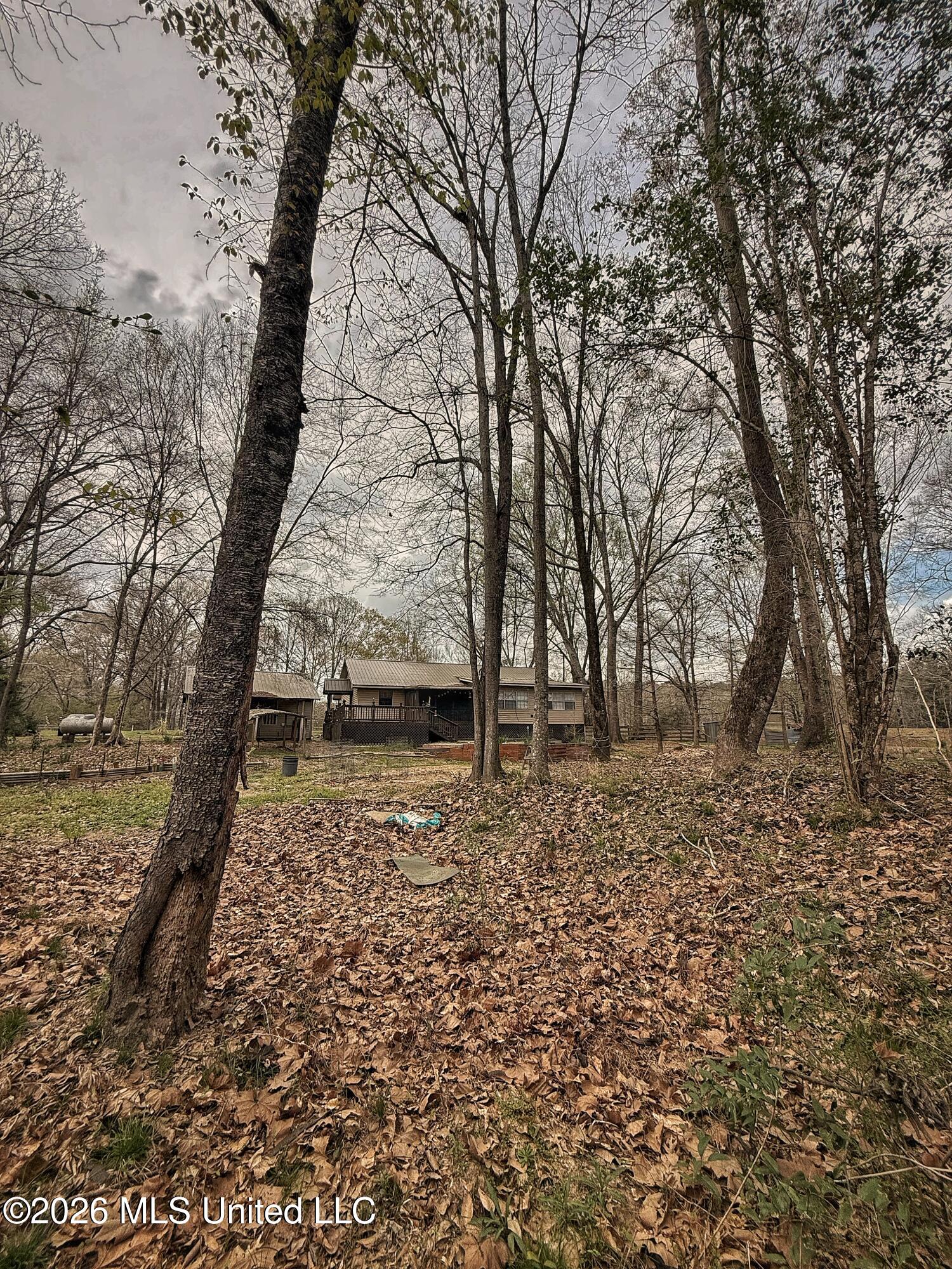 4068 6 Mile Road Crystal Springs, MS 39059 - Photo 25 of 36 FullSizeRender-28