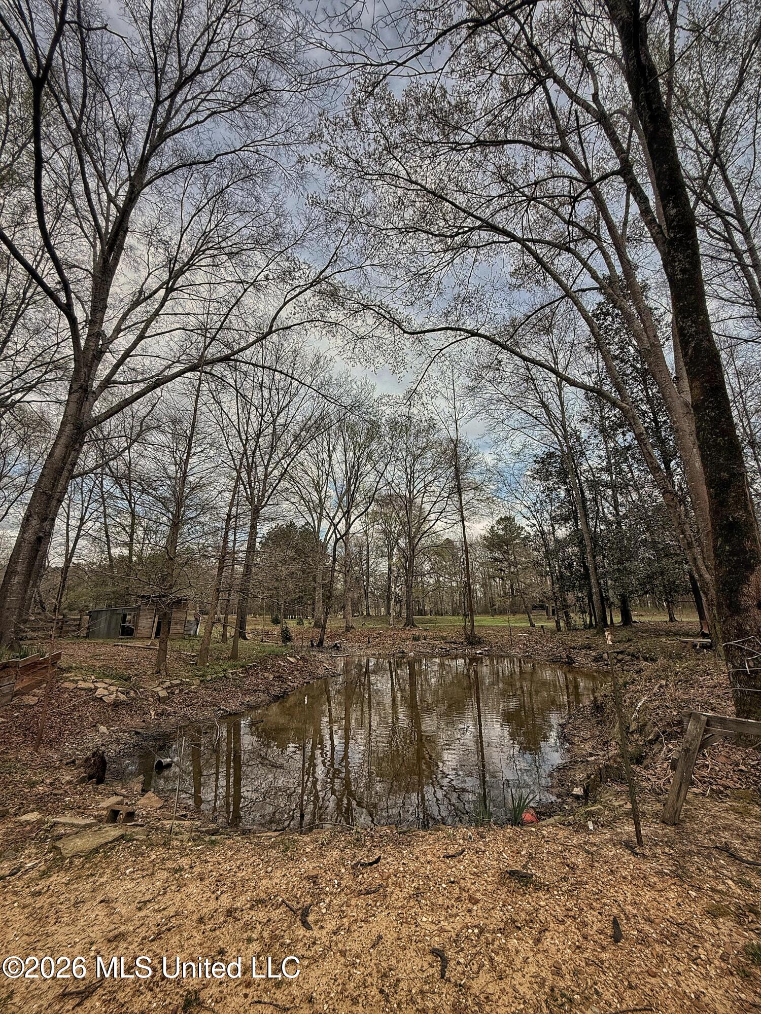 4068 6 Mile Road Crystal Springs, MS 39059 - Photo 29 of 36 FullSizeRender-35