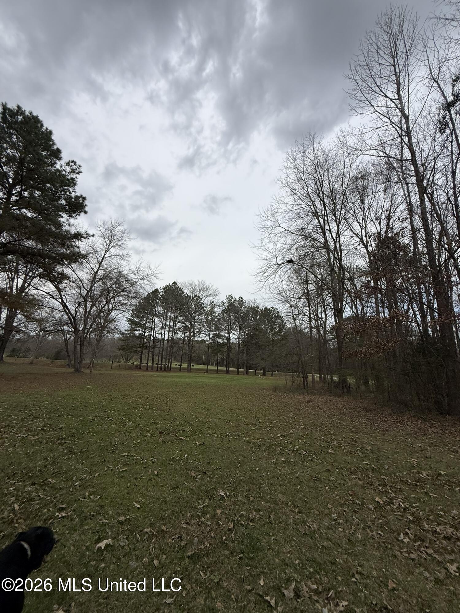 4068 6 Mile Road Crystal Springs, MS 39059 - Photo 36 of 36 IMG_1300