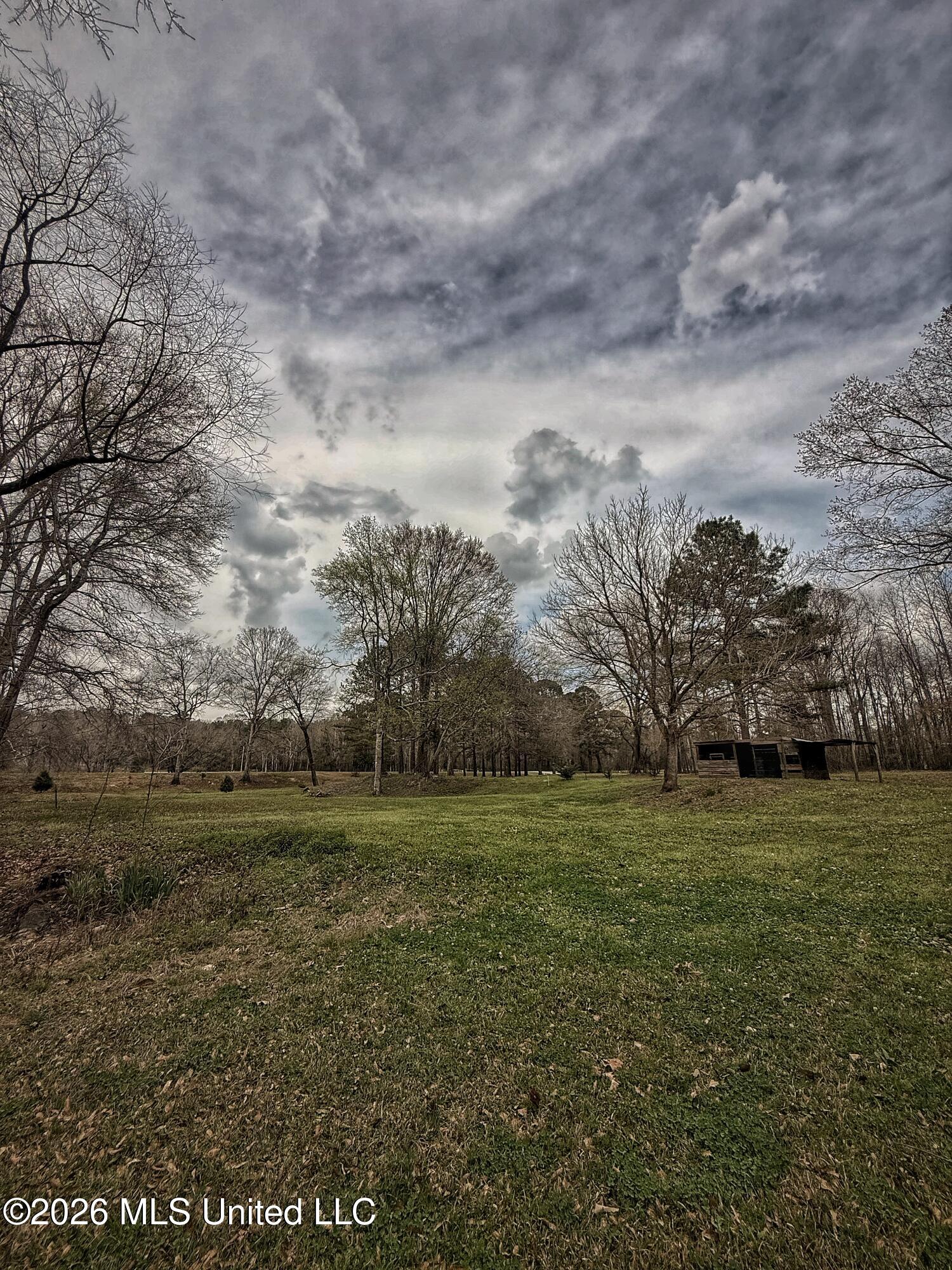 4068 6 Mile Road Crystal Springs, MS 39059 - Photo 8 of 36 FullSizeRender-6