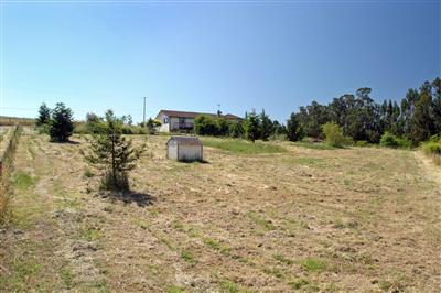 3688 Roblar Road Petaluma, CA 94952 - Photo 3 of 10 a view of a dry yard with trees