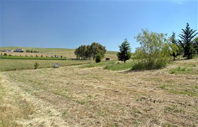 3688 Roblar Road Petaluma, CA 94952 - Photo 9 of 10 a view of a field with trees in the background
