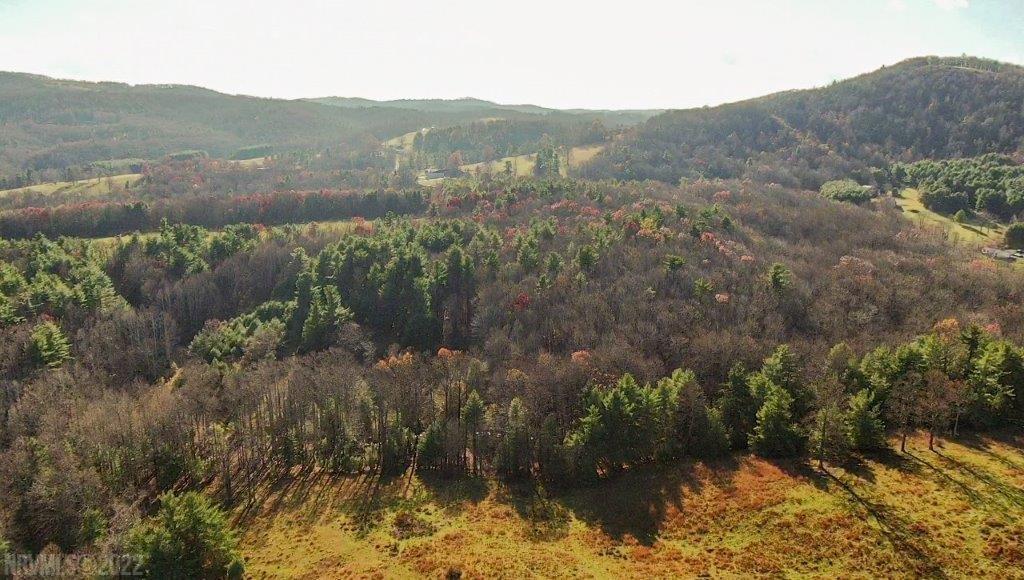 Tbd Spring Dale Road Southwest Floyd, VA 24091 - Photo 4 of 57 Gallery Image 4