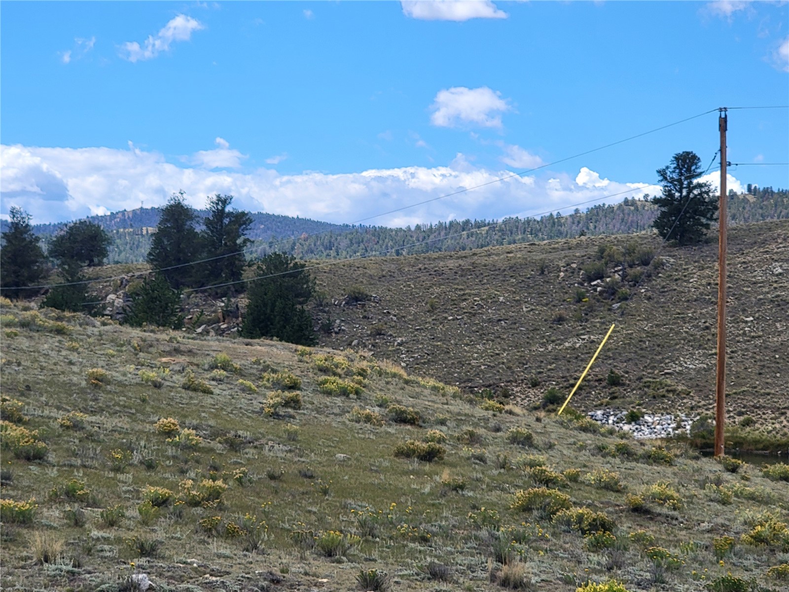 20 Yellowstone Road Hartsel, CO 80449 - Photo 9 of 50 Gallery Image 9
