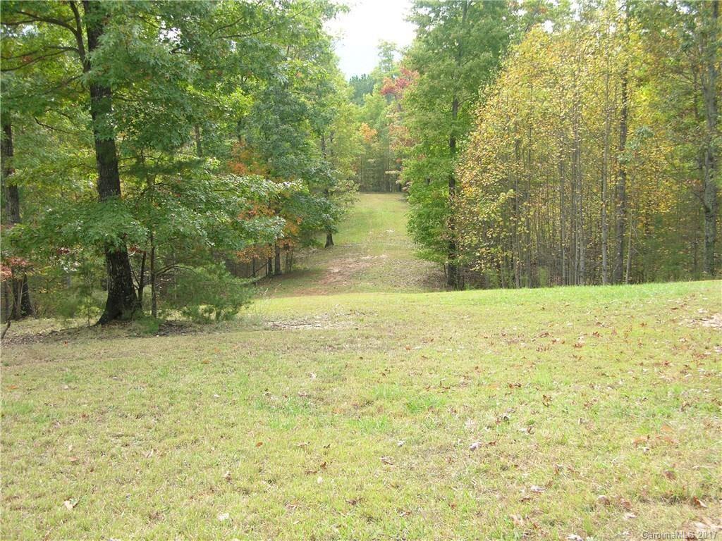 145 Spring Hill Ln Mill Spring, Unit 32 Mill Spring, NC 28756 - Photo 21 of 24 a view of yard with large trees