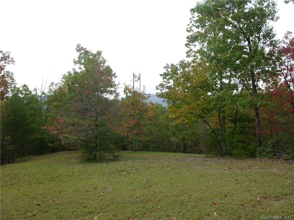145 Spring Hill Ln Mill Spring, Unit 32 Mill Spring, NC 28756 - Photo 23 of 24 a view of a field with trees in it