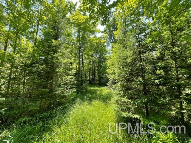 6255 Duck Lake Road Florence, WI 54121 - Photo 53 of 57 Gallery Image 53